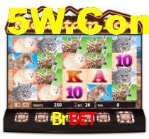 Premium Interface Brbet